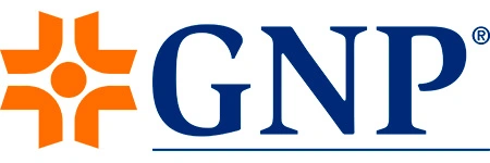 gnp-1.webp
